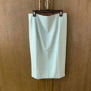 NWOT Ann Taylor Seafoam Green Linen Blend Lined Pencil Skirt, Size 10